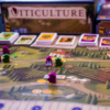 Review Viticulture