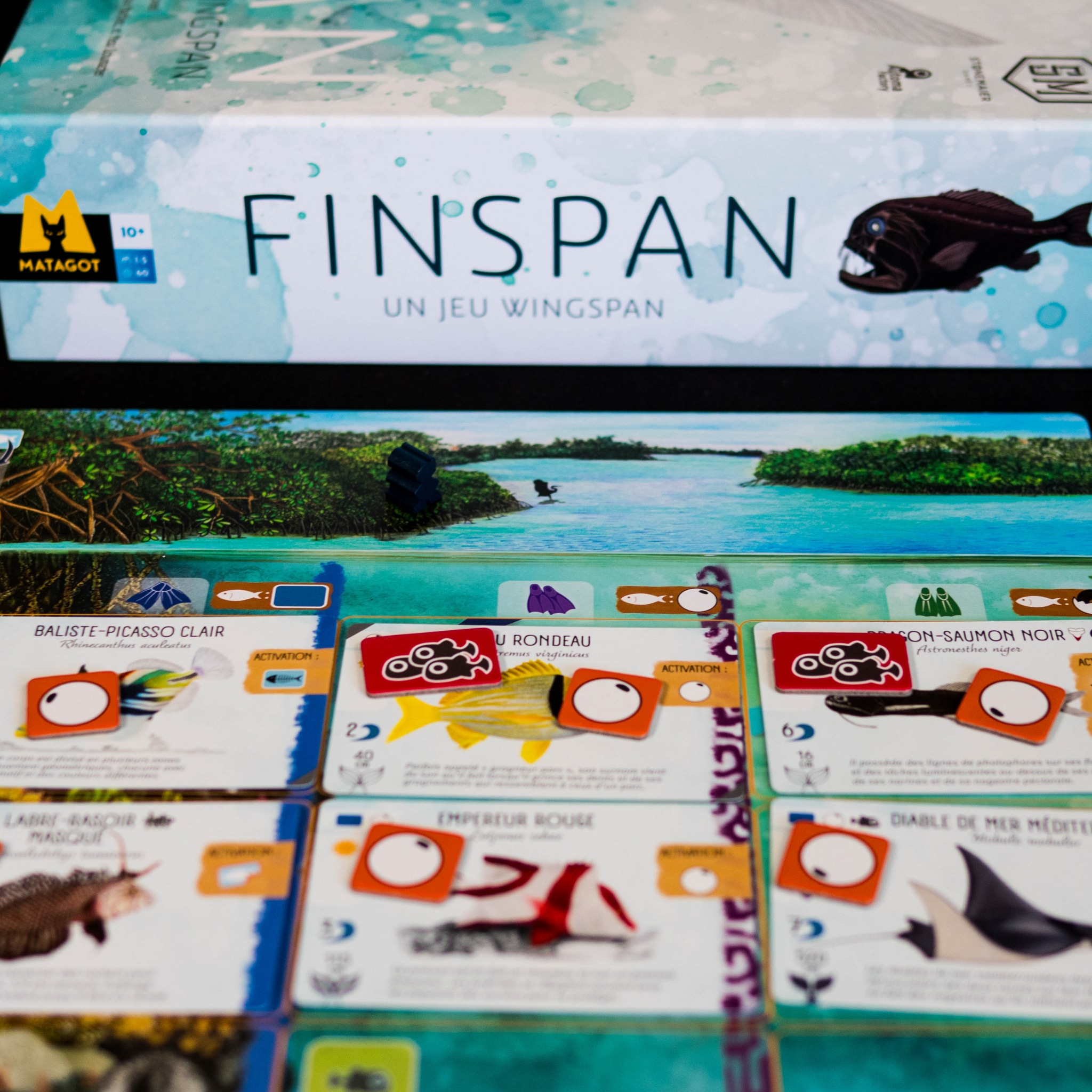 Finspan Test & Review: The Easy and Captivating 
